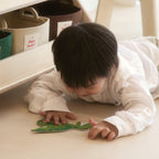 New Dinosaur Felt Collection