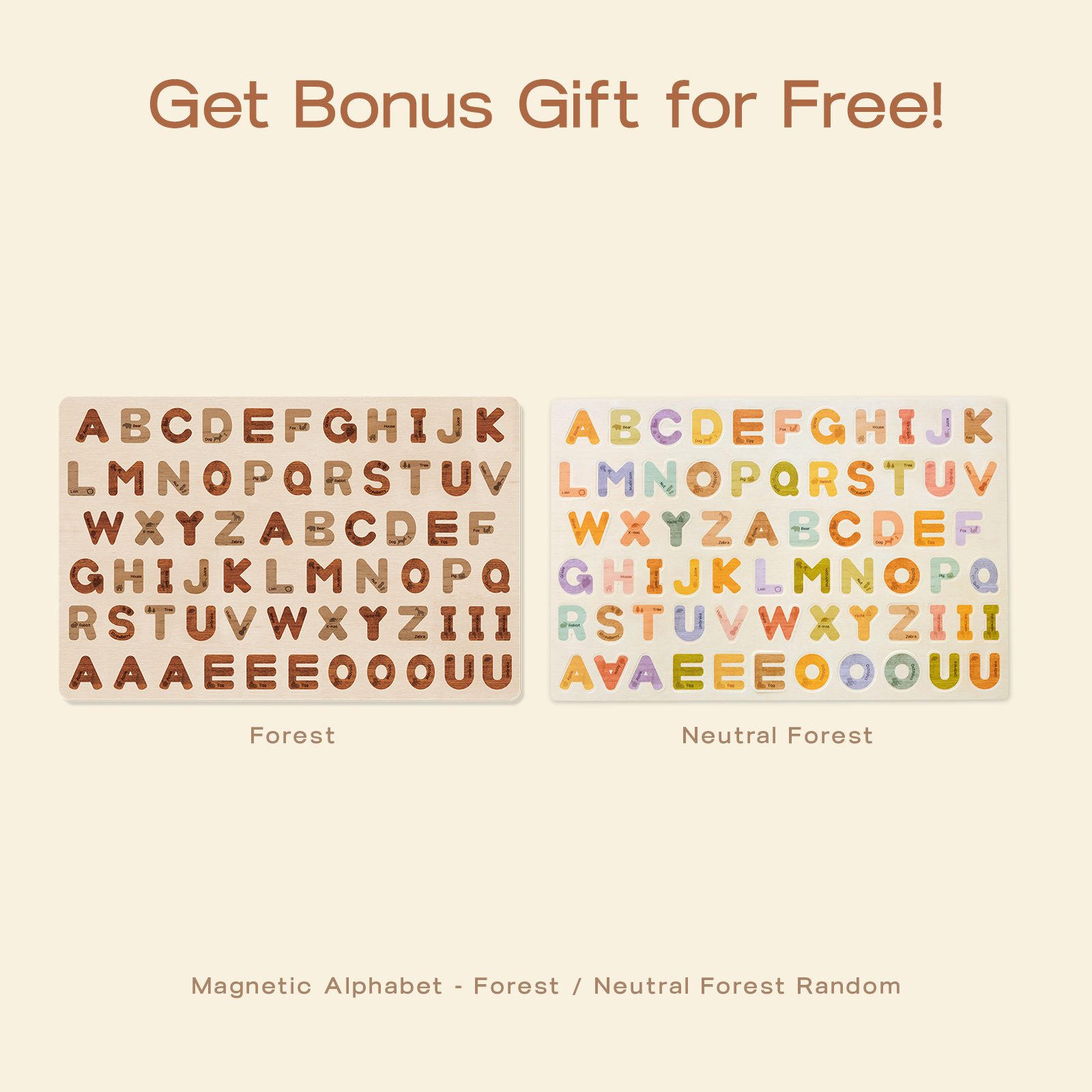 Universe Gift Bundle